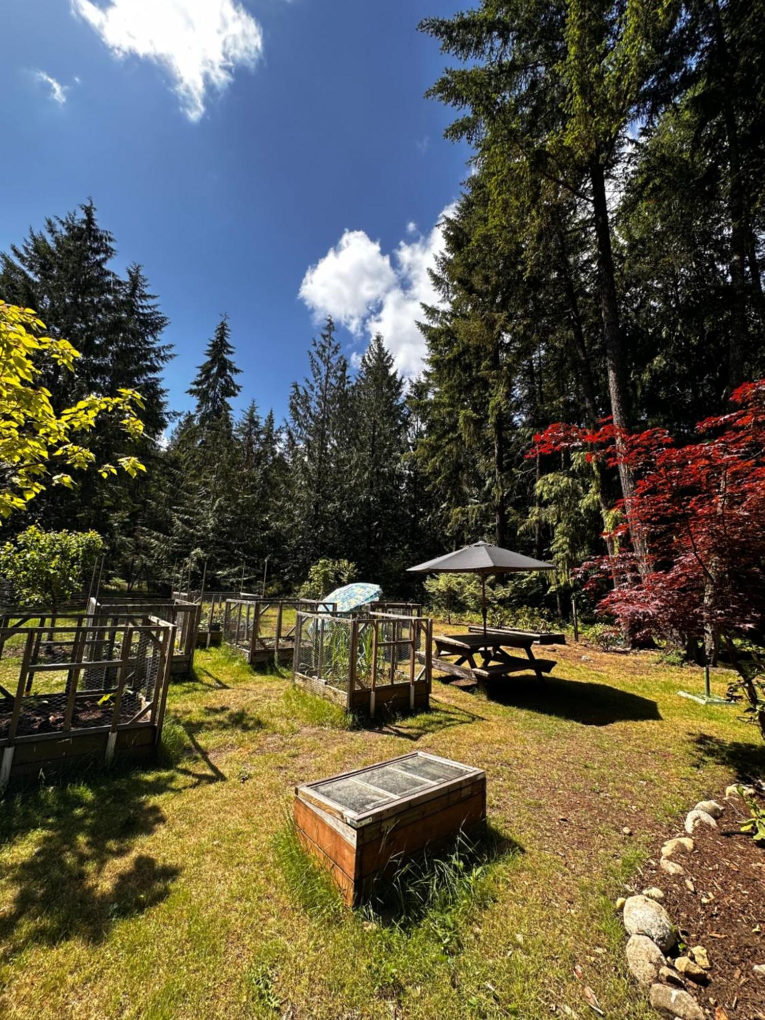 Cedar Song B&B Parksville Ngoại thất bức ảnh
