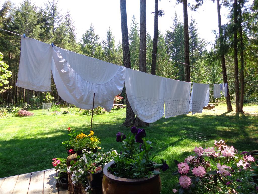 Cedar Song B&B Parksville Ngoại thất bức ảnh