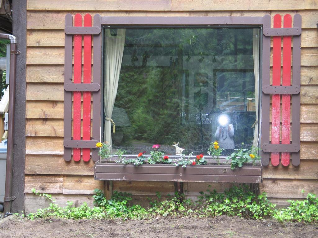 Cedar Song B&B Parksville Ngoại thất bức ảnh